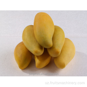 Eng yaxshi ishlab chiqarilgan mango sharbati mashinasi